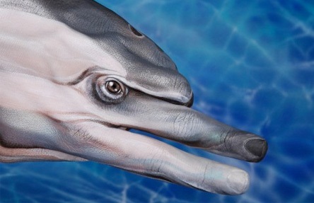 dolphin-2.jpg